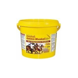 MARSTALL AMINO-MUSKEL PLUS...