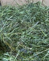 HOOI (Kruidenhooi) doos Ca 5kg - Afbeelding 2