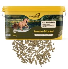 MARSTALL AMINO-MUSKEL PLUS 10 KG