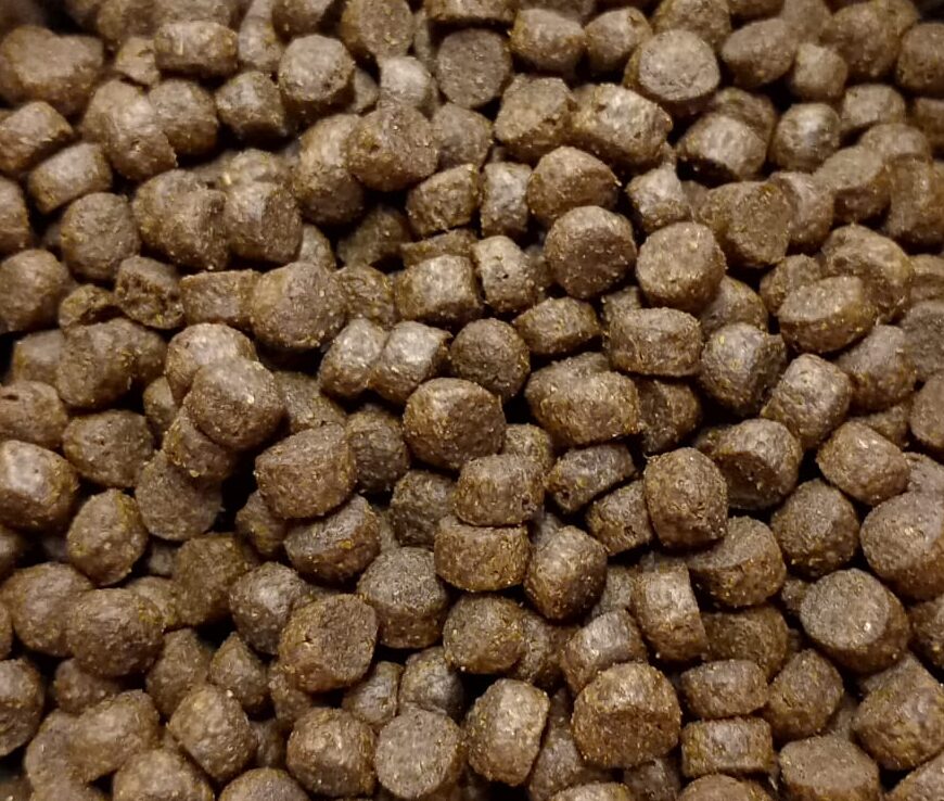 LAVOR KATTENBROK NOGRAIN ZALM PREMIUM - 5 KG - - Afbeelding 2