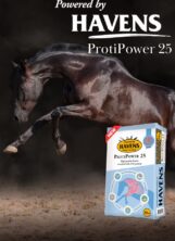HAVENS ProtiPower 25