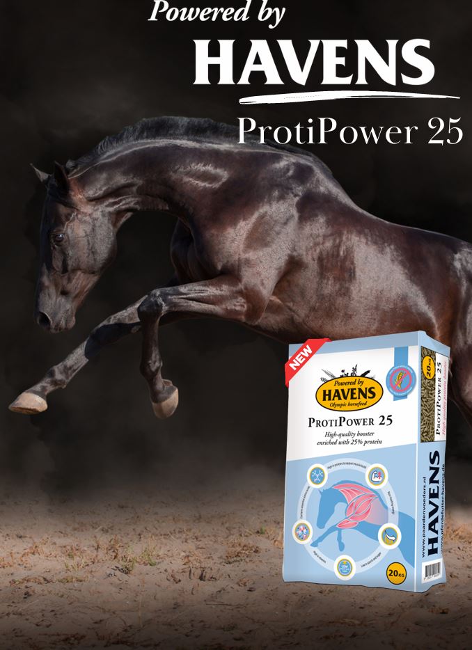 HAVENS ProtiPower 25